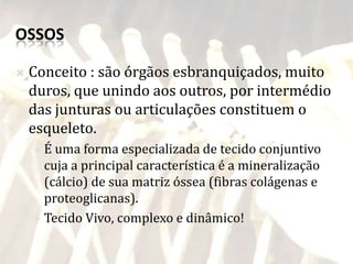 OSSOS

   Conceito : são órgãos esbranquiçados, muito
    duros, que unindo aos outros, por intermédio
    das junturas ou articulações constituem o
    esqueleto.
    É  uma forma especializada de tecido conjuntivo
      cuja a principal característica é a mineralização
      (cálcio) de sua matriz óssea (fibras colágenas e
      proteoglicanas).
     Tecido Vivo, complexo e dinâmico!
 