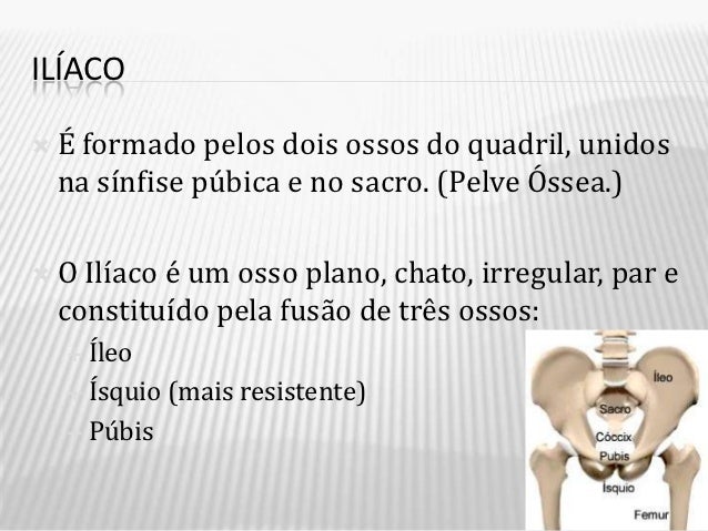 Quais as consequências da adoção das normas internacionais de contabilidade? Quais as consequências da adoção das normas internacionais de contabilidade?