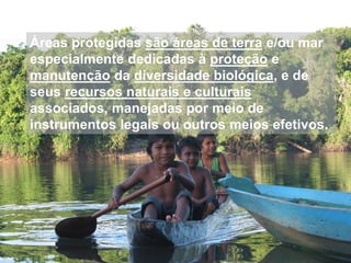 Áreas protegidas são áreas de terra e/ou mar
especialmente dedicadas à proteção e
manutenção da diversidade biológica, e de
seus recursos naturais e culturais
associados, manejadas por meio de
instrumentos legais ou outros meios efetivos.
 
