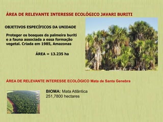 ÁREA DE RELEVANTE INTERESSE ECOLÓGICO JAVARI BURITI
Proteger os bosques da palmeira buriti
e a fauna associada a essa formação
vegetal. Criada em 1985, Amazonas
OBJETIVOS ESPECÍFICOS DA UNIDADE
ÁREA = 13.235 ha
BIOMA: Mata Atlântica
251,7800 hectares
ÁREA DE RELEVANTE INTERESSE ECOLÓGICO Mata de Santa Genebra
 