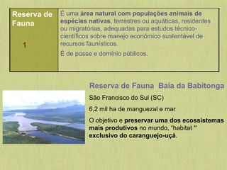 Reserva de
Fauna
1
É uma área natural com populações animais de
espécies nativas, terrestres ou aquáticas, residentes
ou migratórias, adequadas para estudos técnico-
científicos sobre manejo econômico sustentável de
recursos faunísticos.
É de posse e domínio públicos.
Reserva de Fauna Baía da Babitonga
São Francisco do Sul (SC)
6,2 mil ha de manguezal e mar
O objetivo e preservar uma dos ecossistemas
mais produtivos no mundo, “habitat ”
exclusivo do caranguejo-uçá.
 