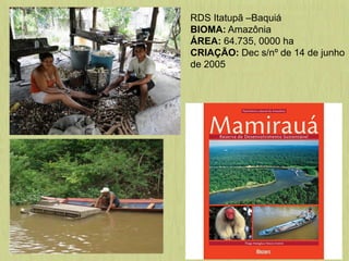 RDS Itatupã –Baquiá
BIOMA: Amazônia
ÁREA: 64.735, 0000 ha
CRIAÇÃO: Dec s/nº de 14 de junho
de 2005
 