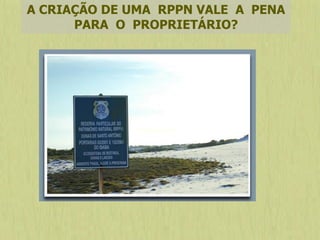 A CRIAÇÃO DE UMA RPPN VALE A PENA
PARA O PROPRIETÁRIO?
 