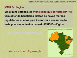 BENEFÍCIOS ASSEGURADOS COM A CRIAÇÃO DA RPPN
ICMS Ecológico
Em alguns estados, os municípios que abrigam RPPNs
vêm obtendo benefícios diretos de novos marcos
regulatórios criados para incentivar a conservação,
mais precisamente do chamado ICMS Ecológico.
site: www.icmsecologico.org.br
http://www.icmsecologico.org.br/
 