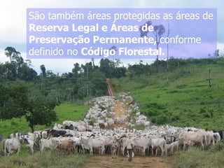 São também áreas protegidas as áreas de
Reserva Legal e Áreas de
Preservação Permanente, conforme
definido no Código Florestal.
 