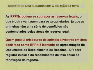 BENEFÍCIOS ASSEGURADOS COM A CRIAÇÃO DA RPPN
As RPPNs podem se sobrepor às reservas legais, o
que é outra vantagem para os proprietários, já que as
primeiras têm uma série de benefícios não
contemplados pelas áreas de reserva legal.
Quem possui criadouros de animais silvestres em área
declarada como RPPN é isentado da apresentação do
Documento de Recolhimento de Receitas - DR para
registro inicial e do recolhimento da taxa anual de
renovação de registro.
 