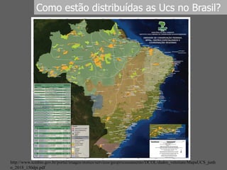Como estão distribuídas as Ucs no Brasil?
http://www.icmbio.gov.br/portal/images/stories/servicos/geoprocessamento/DCOL/dados_vetoriais/MapaUCS_junh
o_2018_150dpi.pdf
 