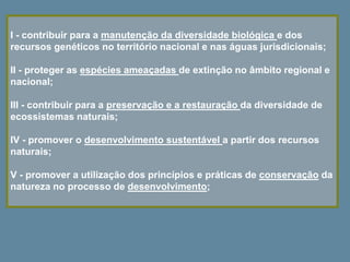 I - contribuir para a manutenção da diversidade biológica e dos
recursos genéticos no território nacional e nas águas jurisdicionais;
II - proteger as espécies ameaçadas de extinção no âmbito regional e
nacional;
III - contribuir para a preservação e a restauração da diversidade de
ecossistemas naturais;
IV - promover o desenvolvimento sustentável a partir dos recursos
naturais;
V - promover a utilização dos princípios e práticas de conservação da
natureza no processo de desenvolvimento;
 