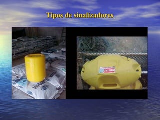 Tipos de sinalizadores 