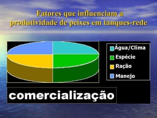 Fatores que influenciam a produtividade de peixes em tanques-rede 