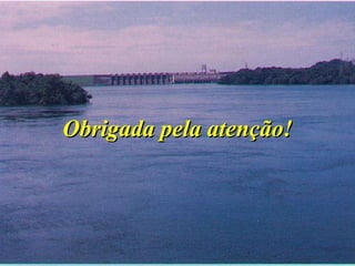 Obrigada pela atenção! 