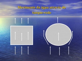 Movimento da água através do tanque-rede 