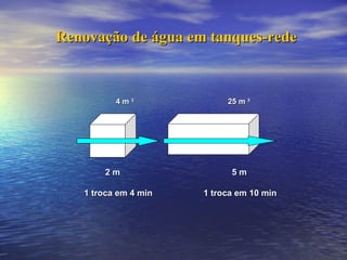 Renovação de água em tanques-rede 4 m  3   25 m  3 2 m  5 m 1 troca em 4 min  1 troca em 10 min   