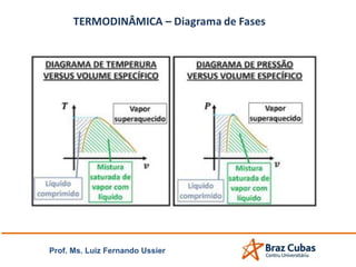 Prof. Ms. Luiz Fernando Ussier
 