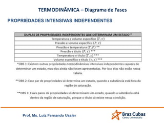 Prof. Ms. Luiz Fernando Ussier
PROPRIEDADES INTENSIVAS INDEPENDENTES
 
