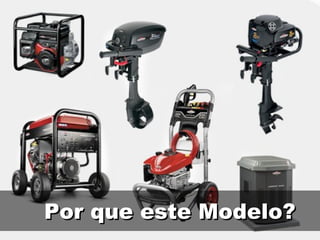 Por que este Modelo? 