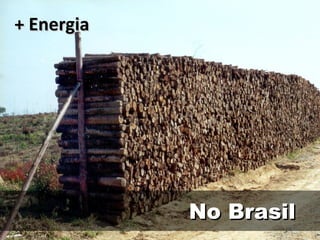 No Brasil + Energia 