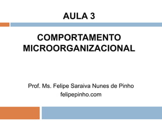AULA 3

   COMPORTAMENTO
MICROORGANIZACIONAL



Prof. Ms. Felipe Saraiva Nunes de Pinho
            felipepinho.com
 