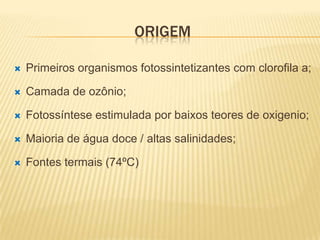 ORIGEM

   Primeiros organismos fotossintetizantes com clorofila a;

   Camada de ozônio;

   Fotossíntese estimulada por baixos teores de oxigenio;

   Maioria de água doce / altas salinidades;

   Fontes termais (74ºC)
 