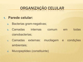 ORGANIZAÇÃO CELULAR

1.    Parede celular:
     a.   Bacterias gram-negativas;
     b.   Camadas        internas     comum     em      todas
          cianobacterias;
     c.   Camadas       externas:   mucilagem   e   condições
          ambientais;
     d.   Mucopeptideo (constituinte)
 