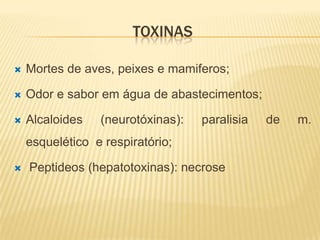 TOXINAS

   Mortes de aves, peixes e mamiferos;

   Odor e sabor em água de abastecimentos;

   Alcaloides   (neurotóxinas):   paralisia   de   m.
    esquelético e respiratório;

   Peptideos (hepatotoxinas): necrose
 