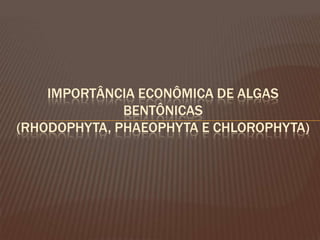 IMPORTÂNCIA ECONÔMICA DE ALGAS
              BENTÔNICAS
(RHODOPHYTA, PHAEOPHYTA E CHLOROPHYTA)
 
