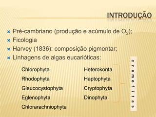 INTRODUÇÃO
   Pré-cambriano (produção e acúmulo de O2);
   Ficologia
   Harvey (1836): composição pigmentar;
   Linhagens de algas eucarióticas:




                                            c r o m o f i
       Chlorophyta          Heterokonta
       Rhodophyta           Haptophyta
       Glaucocystophyta     Cryptophyta
       Eglenophyta          Dinophyta




                                            t a s
       Chlorarachniophyta
 