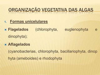 ORGANIZAÇÃO VEGETATIVA DAS ALGAS

1.    Formas unicelulares

    Flagelados     (chlorophyta,     euglenophyta     e
     dinophyta);

    Aflagelados
     (cyanobacterias, chlorophyta, bacillariophyta, dinop
     hyta (ameboides) e rhodophyta
 