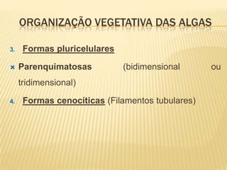 ORGANIZAÇÃO VEGETATIVA DAS ALGAS

3.    Formas pluricelulares

    Parenquimatosas          (bidimensional      ou
     tridimensional)

4.    Formas cenocíticas (Filamentos tubulares)
 