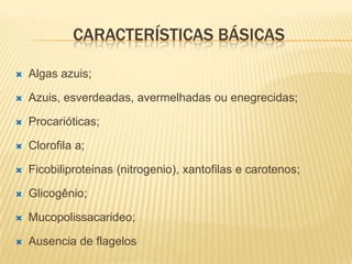 CARACTERÍSTICAS BÁSICAS

   Algas azuis;

   Azuis, esverdeadas, avermelhadas ou enegrecidas;

   Procarióticas;

   Clorofila a;

   Ficobiliproteinas (nitrogenio), xantofilas e carotenos;

   Glicogênio;

   Mucopolissacarideo;

   Ausencia de flagelos
 