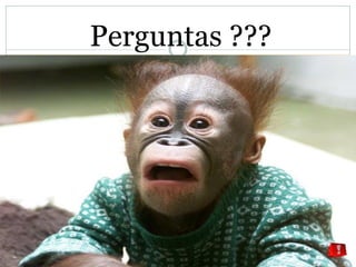 Perguntas ???




                17
 