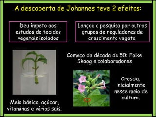 A descoberta de Johannes teve 2 efeitos:
Deu ímpeto aos
estudos de tecidos
vegetais isolados

Lançou a pesquisa por outros
grupos de reguladores de
crescimento vegetal
Começo da década de 50: Folke
Skoog e colaboradores

Meio básico: açúcar,
vitaminas e vários sais.

Crescia,
inicialmente
nesse meio de
cultura.

 