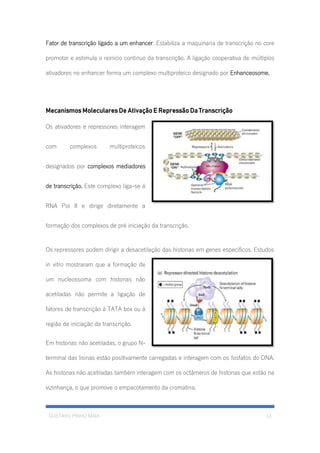 GUSTAVO PINHO MAIA 13
Fator de transcrição ligado a um enhancer: Estabiliza a maquinaria de transcrição no core
promotor e estimula o reinicio continuo da transcrição. A ligação cooperativa de múltiplos
ativadores no enhancer forma um complexo multiproteico designado por Enhanceosome.
Mecanismos Moleculares De Ativação E Repressão Da Transcrição
Os ativadores e repressores interagem
com complexos multiproteicos
designados por complexos mediadores
de transcrição. Este complexo liga-se á
RNA Pol II e dirige diretamente a
formação dos complexos de pré iniciação da transcrição.
Os repressores podem dirigir a desacetilação das histonas em genes específicos. Estudos
in vitro mostraram que a formação de
um nucleossoma com histonas não
acetiladas não permite a ligação de
fatores de transcrição á TATA box ou á
região de iniciação da transcrição.
Em histonas não acetiladas, o grupo N-
terminal das lisinas estão positivamente carregadas e interagem com os fosfatos do DNA.
As histonas não acetiladas também interagem com os octâmeros de histonas que estão na
vizinhança, o que promove o empacotamento da cromatina.
 