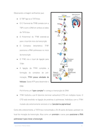 GUSTAVO PINHO MAIA 6
Observando a imagem verificamos que:
• O TBP liga-se á TATA box
• O C-Terminal de TFIIB contata com a
TBP e com o DNA em ambos os lados
da TATA box
• O N-terminal do TFIIB estende-se
para o local de inicio da transcrição
• O Complexo tetramétrico TFIIF
posiciona a RNA polimerase no inicio
da transcrição
• O TFIIE cria o local de ligação para
TFIIH
• A ligação da TFIIH completa a
formação do complexo de pré-
iniciação. TFIIH possui atividade de
helicase. Gasta ATP para desenrolar o
DNA
Pol II forma um “open complex” e começa a transcrição do DNA
• TFIIH fosforila a pol II (domínio terminal carboxílico) CTD em múltiplos locais. O
CTD está envolvido na ligação de proteínas á polimerase. Indivíduos com a TFIIH
mutada são extremamente sensíveis á luz (xeroderma pigmentosa)
Como dito anteriormente, a TATA box é encontrada a 25-35 pares de bases upstream do
local de iniciação da transcrição. Atua como um promotor e serve para posicionar o RNA
polimerase II para iniciar a transcrição.
 