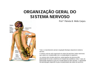 ORGANIZAÇÃO GERAL DO
  SISTEMA NERVOSO
             Prof.ª Pâmela B. Mello Carpes
 