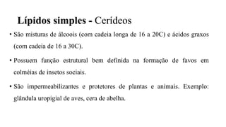 Lípidos simples - Cerídeos
• São misturas de álcoois (com cadeia longa de 16 a 20C) e ácidos graxos
(com cadeia de 16 a 30C).
• Possuem função estrutural bem definida na formação de favos em
colméias de insetos sociais.
• São impermeabilizantes e protetores de plantas e animais. Exemplo:
glândula uropigial de aves, cera de abelha.
 