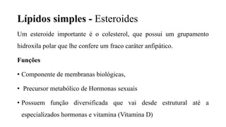 Lípidos simples - Esteroides
Um esteroide importante é o colesterol, que possui um grupamento
hidroxila polar que lhe confere um fraco caráter anfipático.
Funções
• Componente de membranas biológicas,
• Precursor metabólico de Hormonas sexuais
• Possuem função diversificada que vai desde estrutural até a
especializados hormonas e vitamina (Vitamina D)
 