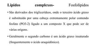 Lípidos complexos- Fosfolípidos
• São derivados dos triglicerídeos, onde o terceiro ácido graxo
é substituído por uma cabeça extremamente polar contendo
fosfato (PO3-2) ligado a um composto X que pode ser de
várias origens.
• Geralmente o segundo carbono é um ácido graxo insaturado
(frequentemente o ácido araquidônico).
 