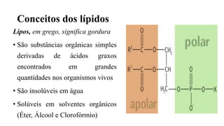 Conceitos dos lípidos
Lipos, em grego, significa gordura
• São substâncias orgânicas simples
derivadas de ácidos graxos
encontrados em grandes
quantidades nos organismos vivos
• São insolúveis em água
• Solúveis em solventes orgânicos
(Éter, Álcool e Clorofórmio)
 