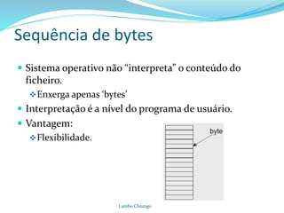 Sequência de bytes
 Sistema operativo não “interpreta” o conteúdo do
ficheiro.
Enxerga apenas ‘bytes’
 Interpretação é a nível do programa de usuário.
 Vantagem:
Flexibilidade.
Lambo Chiungo
 