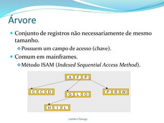 Árvore
 Conjunto de registros não necessariamente de mesmo
tamanho.
Possuem um campo de acesso (chave).
 Comum em mainframes.
Método ISAM (Indexed Sequential Access Method).
Lambo Chiungo
 