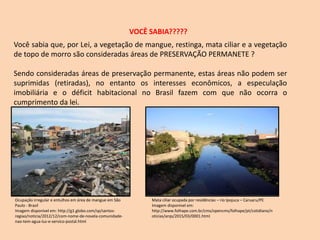 VOCÊ SABIA?????
Você sabia que, por Lei, a vegetação de mangue, restinga, mata ciliar e a vegetação
de topo de morro são consideradas áreas de PRESERVAÇÃO PERMANETE ?
Sendo consideradas áreas de preservação permanente, estas áreas não podem ser
suprimidas (retiradas), no entanto os interesses econômicos, a especulação
imobiliária e o déficit habitacional no Brasil fazem com que não ocorra o
cumprimento da lei.
Ocupação irregular e entulhos em área de mangue em São
Paulo - Brasil
Imagem disponível em: http://g1.globo.com/sp/santos-
regiao/noticia/2012/12/com-nome-de-novela-comunidade-
nao-tem-agua-luz-e-servico-postal.html
Mata ciliar ocupada por residências – rio Ipojuca – Caruaru/PE
Imagem disponível em:
http://www.folhape.com.br/cms/opencms/folhape/pt/cotidiano/n
oticias/arqs/2015/03/0001.html
 