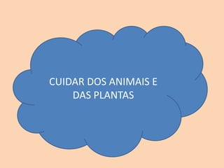 CUIDAR DOS ANIMAIS E
DAS PLANTAS
 