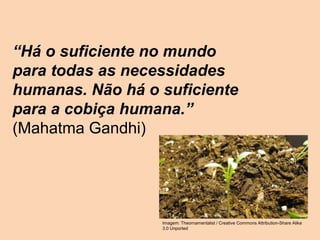 “Há o suficiente no mundo
para todas as necessidades
humanas. Não há o suficiente
para a cobiça humana.”
(Mahatma Gandhi)
Imagem: Theornamentalist / Creative Commons Attribution-Share Alike
3.0 Unported
 