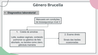 Gênero Brucella
• Diagnostico laboratorial
Manuseio em condições
de biossegurança nível 3
1. Coleta de amotras
Leite, suabes vaginais, conteúdo
pulmonar ou gástrico de feto
abortado, ou tecidos como útero,
glândula mamária
2. Exame direto
Sinais das lesões
ocasionadas
 
