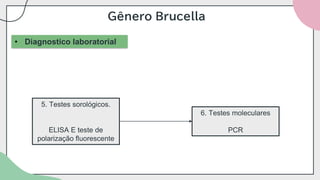 Gênero Brucella
• Diagnostico laboratorial
5. Testes sorológicos.
ELISA E teste de
polarização fluorescente
6. Testes moleculares
PCR
 