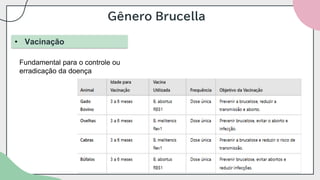 Gênero Brucella
• Vacinação
Fundamental para o controle ou
erradicação da doença
 