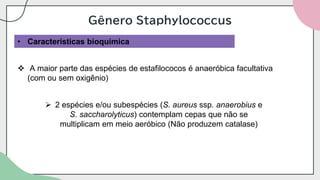 Gênero Staphylococcus
• Características bioquímica
❖ A maior parte das espécies de estafilococos é anaeróbica facultativa
(com ou sem oxigênio)
➢ 2 espécies e/ou subespécies (S. aureus ssp. anaerobius e
S. saccharolyticus) contemplam cepas que não se
multiplicam em meio aeróbico (Não produzem catalase)
 