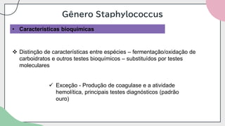 Gênero Staphylococcus
• Características bioquímicas
❖ Distinção de características entre espécies – fermentação/oxidação de
carboidratos e outros testes bioquímicos – substituídos por testes
moleculares
✓ Exceção - Produção de coagulase e a atividade
hemolítica, principais testes diagnósticos (padrão
ouro)
 