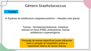 Gênero Staphylococcus
• Toxinas
❖ Espécies de estafilococos coagulase-positivos – infecções mais graves
Toxinas - Hemolisinas/citotoxinas, modulinas
solúveis em fenol (PSM), enterotoxinas, toxinas
esfoliativas e superantígenos.
Produção de toxinas específicas possa influenciar
tanto a variação do hospedeiro quanto a
capacidade relativa de causar doença.
 